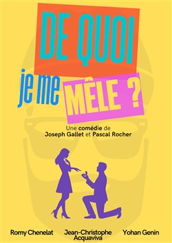 Affiche de De quoi je me mêle ?