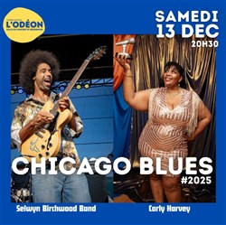 Affiche de Chicago Blues