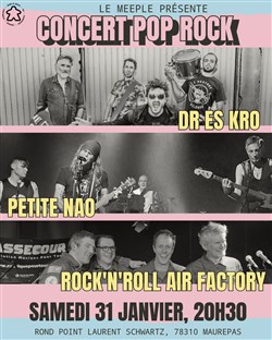 Affiche de Concert Pop Rock au Meeple