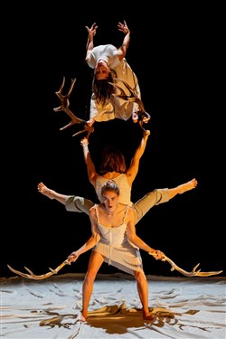 Affiche de Faune