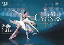 Affiche de Le Lac des Cygnes