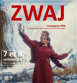 Affiche de Zwaj