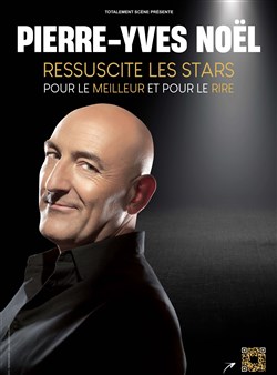 Affiche de Pierre-Yves Noël ressuscite les stars