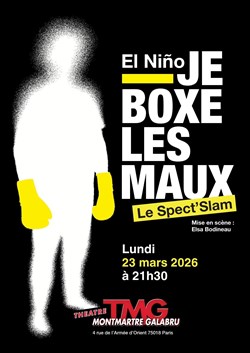 Affiche de Je boxe les maux