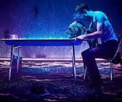 Affiche de Fils de Chien