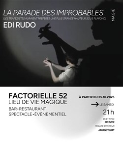 Affiche de La parade des improbables