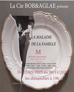 Affiche de La maladie de la famille M