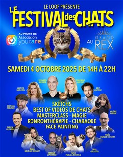 Affiche de Le Festival des chats