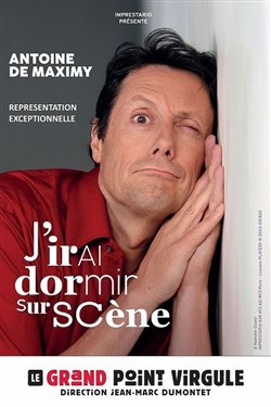 Affiche de Antoine de Maximy dans J'irai dormir sur scène