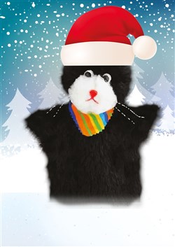 Affiche de Le Noël de Patachon