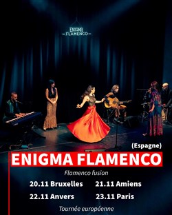 Affiche de Enigma Flamenco
