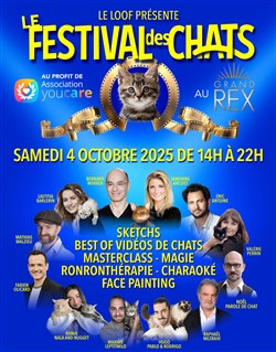 Affiche de Le Festival des chats