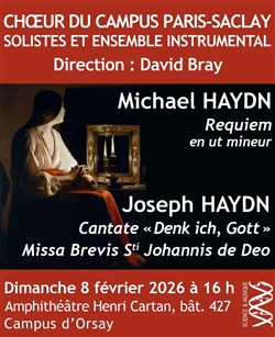 Affiche de Les frères Haydn