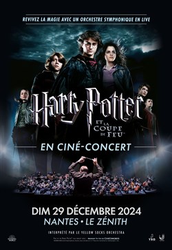 Affiche de Harry Potter et la coupe de Feu en ciné-concert | Nantes