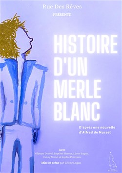 Affiche de Histoire d'un merle blanc
