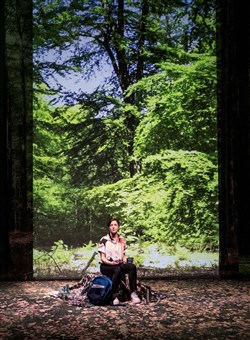 Affiche de Elles vivent