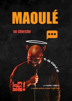 Affiche de Maoulé se cherche