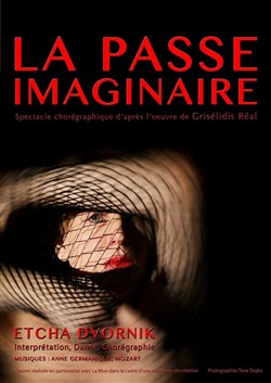 Affiche de La passe imaginaire