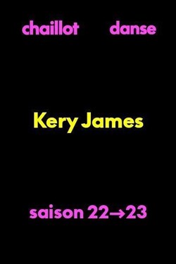 Affiche de Kery James : Le Poète noir