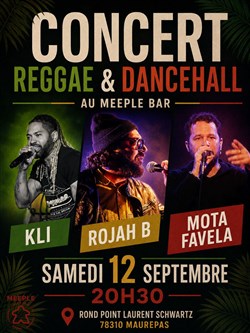 Affiche de Concert Reggae & Dancehall au Meeple Bar