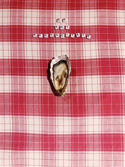 Affiche de Do Not Resuscitate