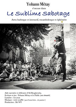 Affiche de Yohann Métay - Le sublime sabotage