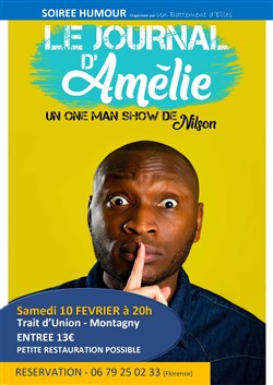 Affiche de Le Journal d'Amélie, par Nilson