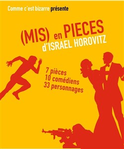 Affiche de (Mis) en pièces