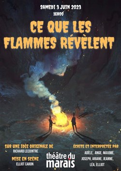 Affiche de Ce que les flammes révèlent