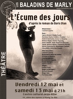 Affiche de L'Ecume des Jours