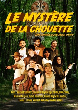 Affiche de Le mystère de la chouette