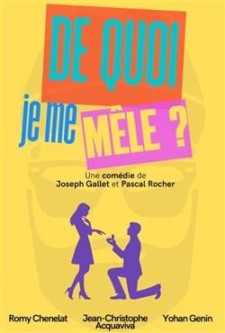 Affiche de De quoi je me mêle