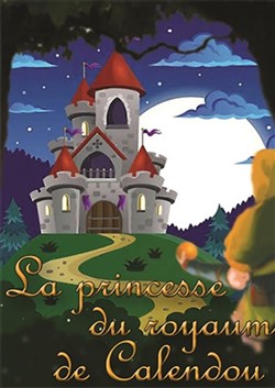 Affiche de La Princesse de Noël