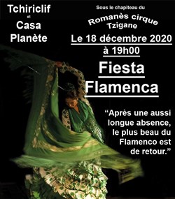 Affiche de Fiesta Flamenca