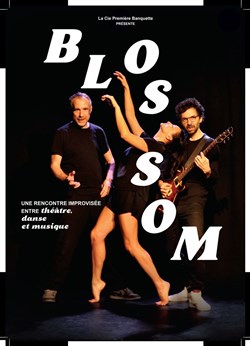Affiche de Blossom