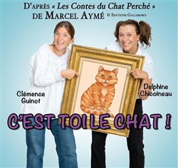 Affiche de C'est toi le chat !