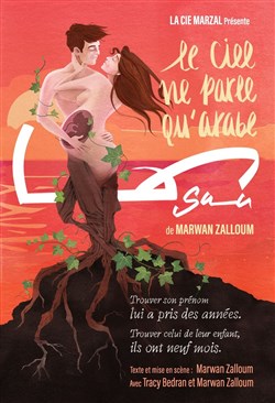Affiche de Sama : Le ciel ne parle qu'arabe