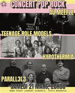 Affiche de Concert Pop Rock au Meeple