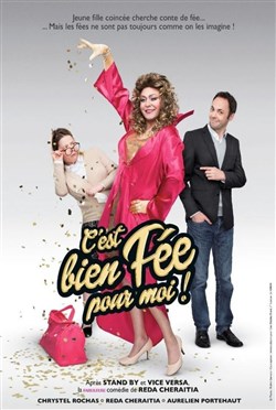 Affiche de C'est bien fée pour moi !