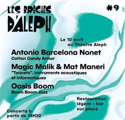 Affiche de Les brèches d'Aleph