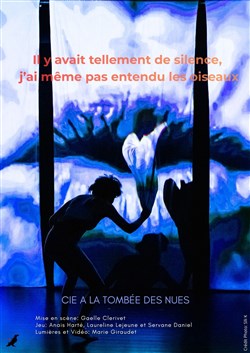 Affiche de Il y avait tellement de silence, j'ai même pas entendu les oiseaux