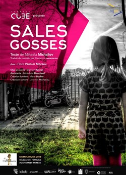 Affiche de Sales Gosses