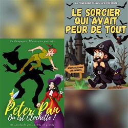 Affiche de Le sorcier qui avait peur de tout et Peter pan : où est clochette ?