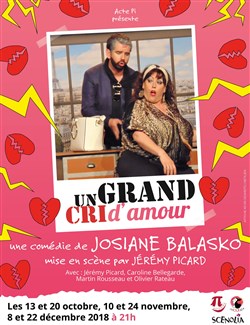 Affiche de Un grand cri d'amour