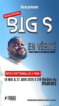 Affiche de Big S dans En vérité, confessions d'un croco en sucre