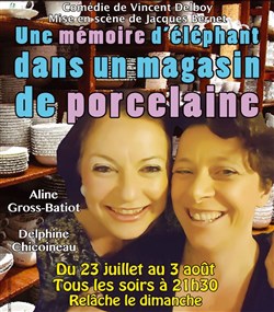 Affiche de Une mémoire d'éléphant dans un magasin de porcelaine