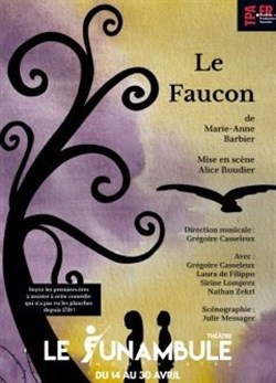 Affiche de Le Faucon
