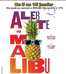 Affiche de Alerte au Malibu