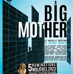Affiche de Big mother