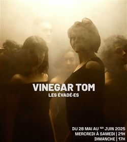 Affiche de Vinegar Tom